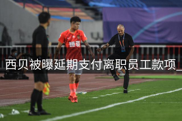 西贝被曝延期支付离职员工款项 贾国龙承诺2028年结清